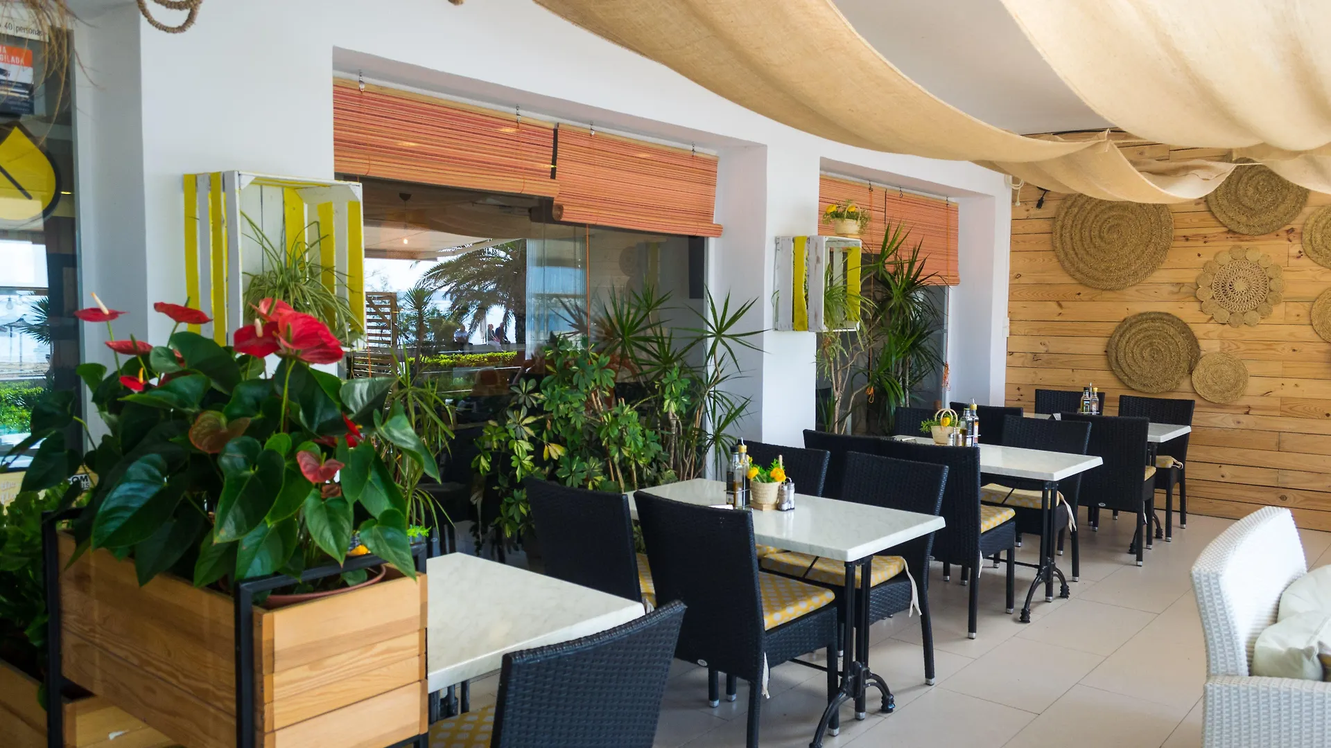 Hotel Saulo By Puro Can Pastilla